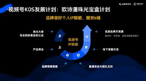 2024年五大運營新玩法 互聯網終點的小浪淘金——上海互聯網銷售公司啟示錄